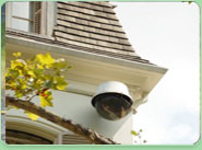 electrical installation Bradshaw